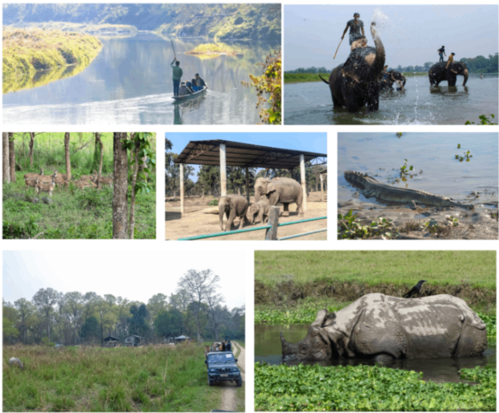 chitwan-national-park.png