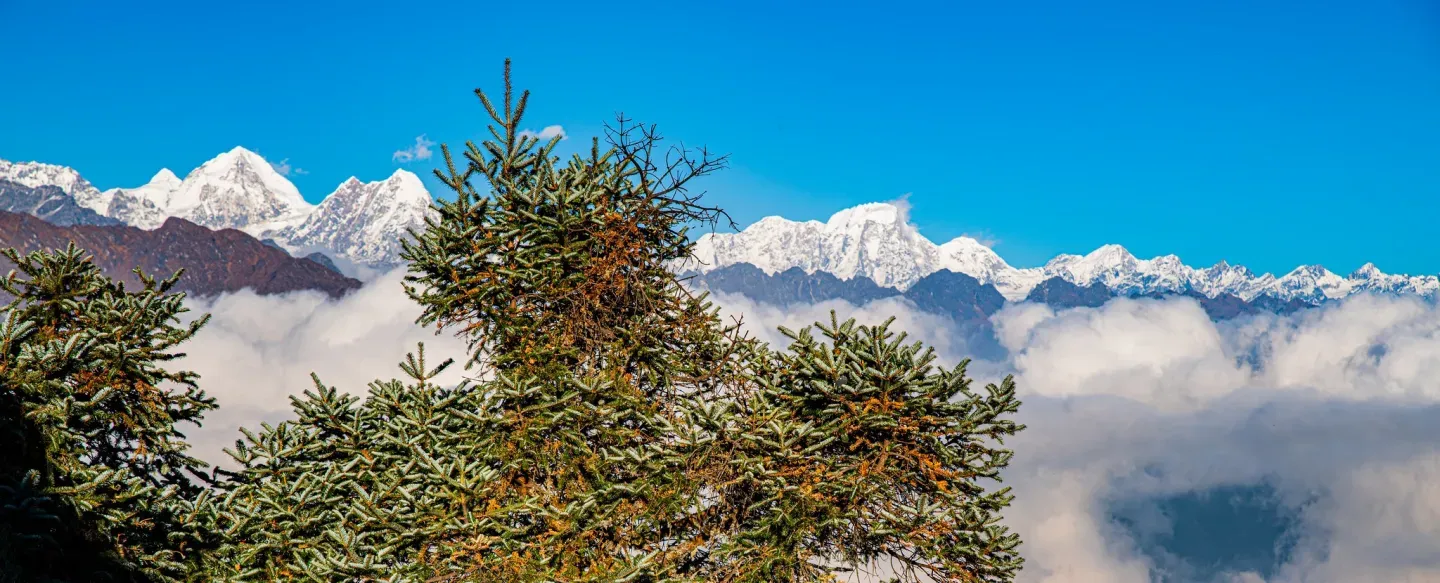 helambu-trekking-in-nepal.webp