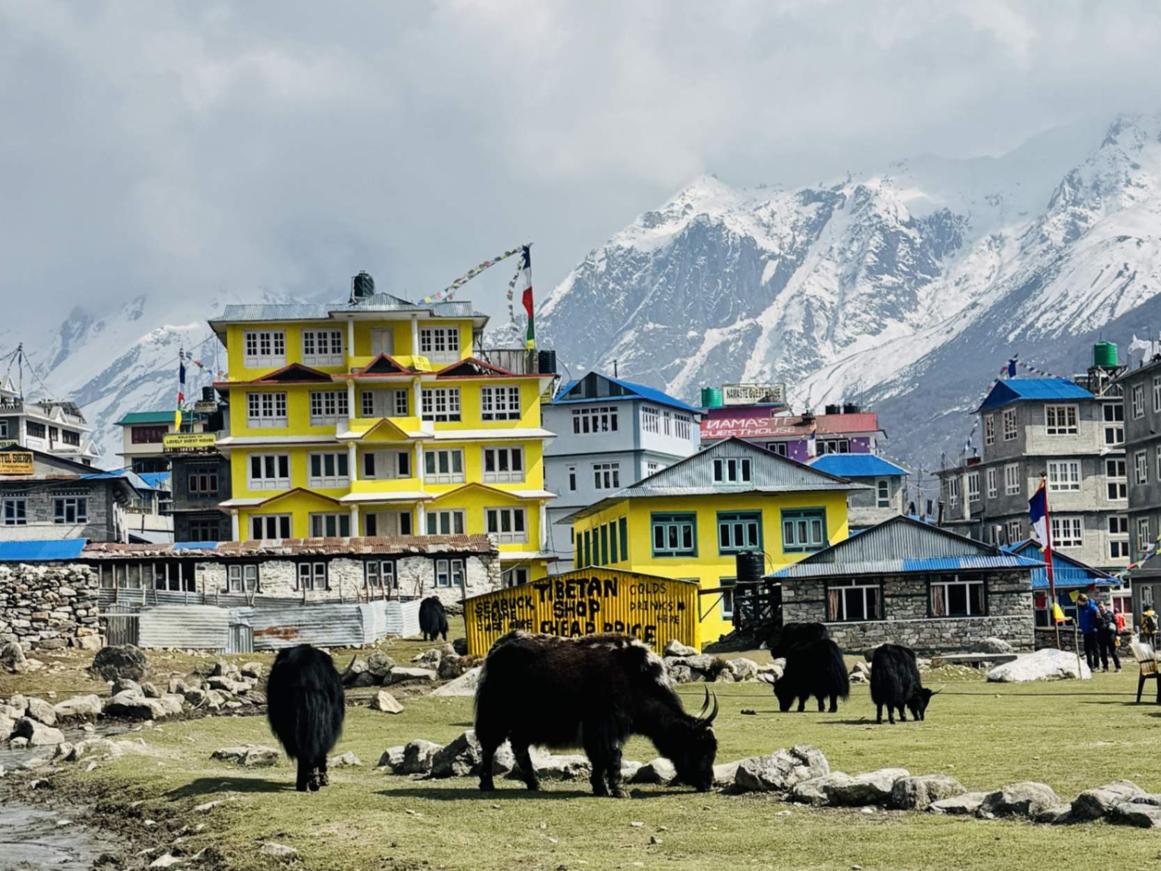 langtang-trekking.jpg