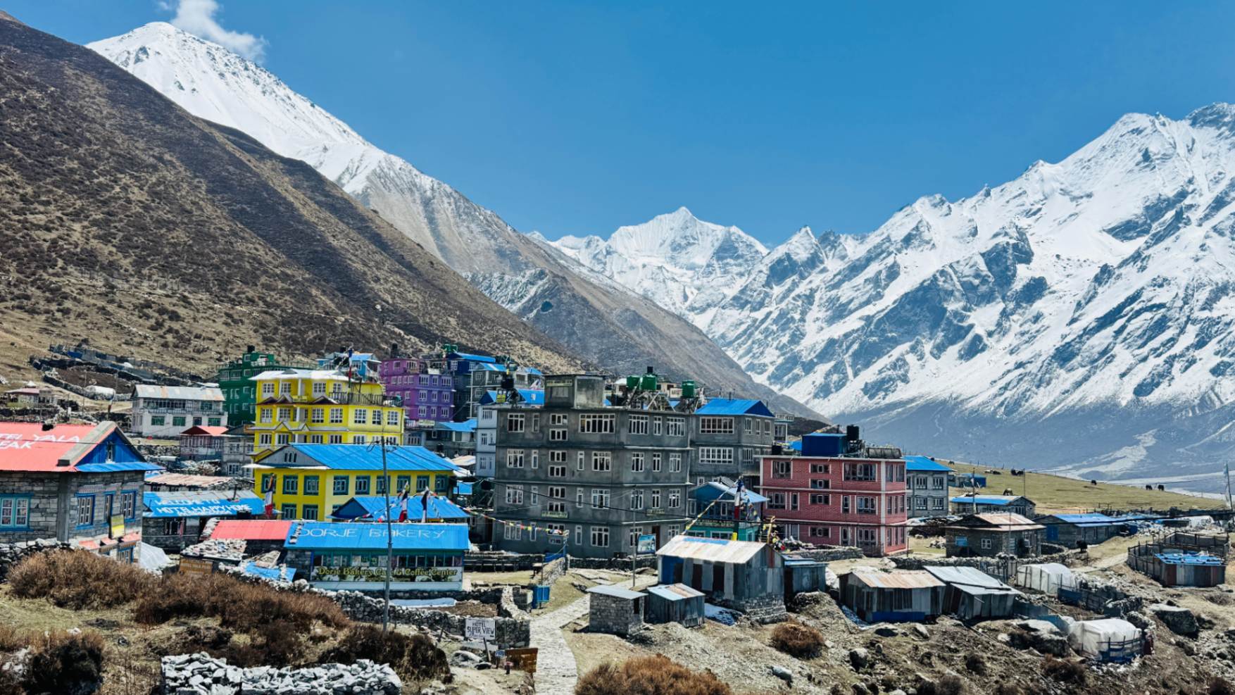 langtang-trekking.jpg