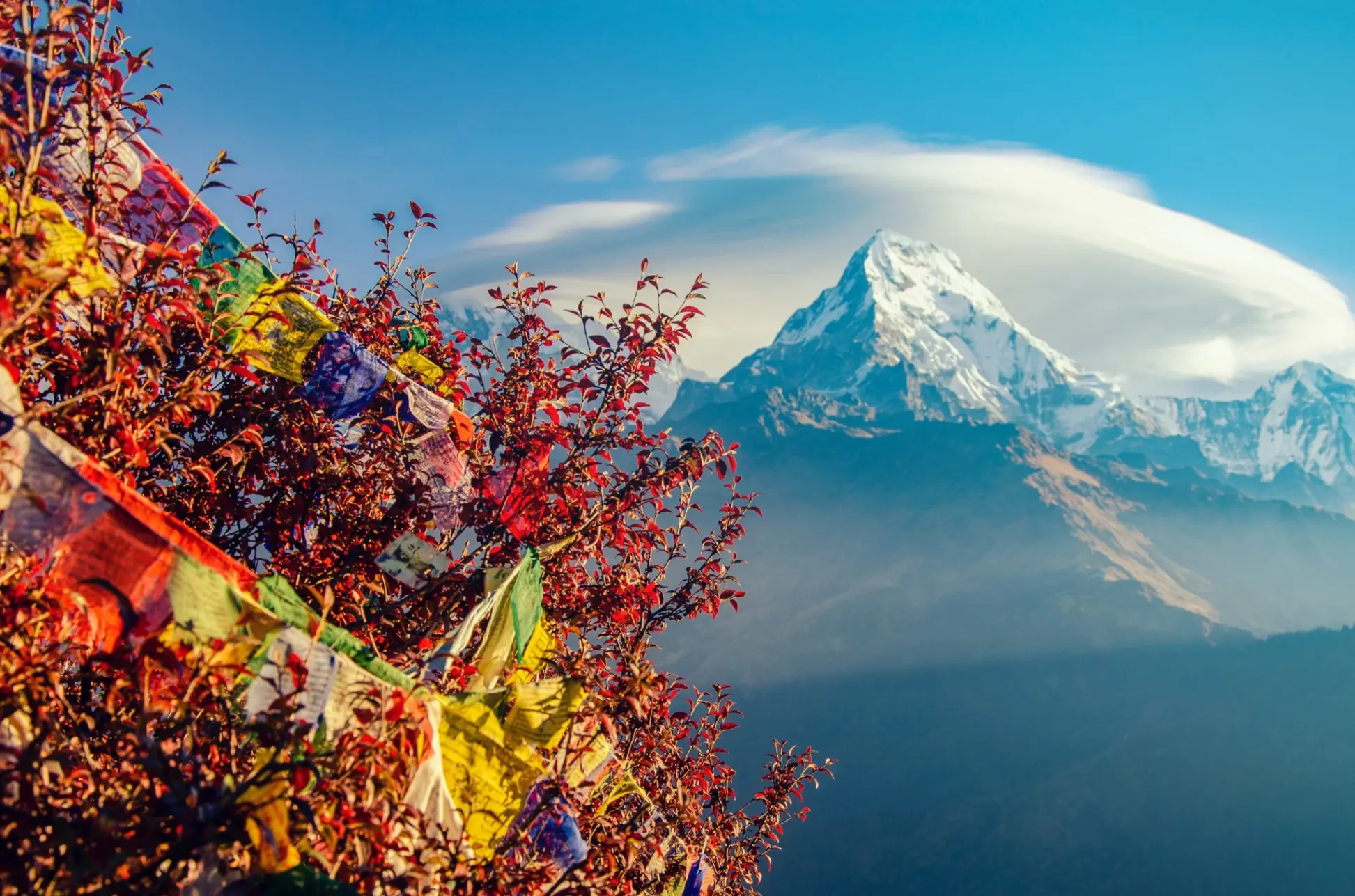 poonhill.webp